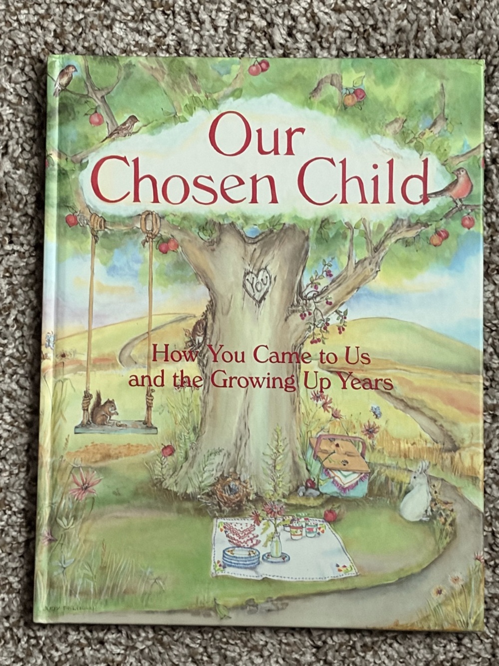 Our Chosen Child Picture Book